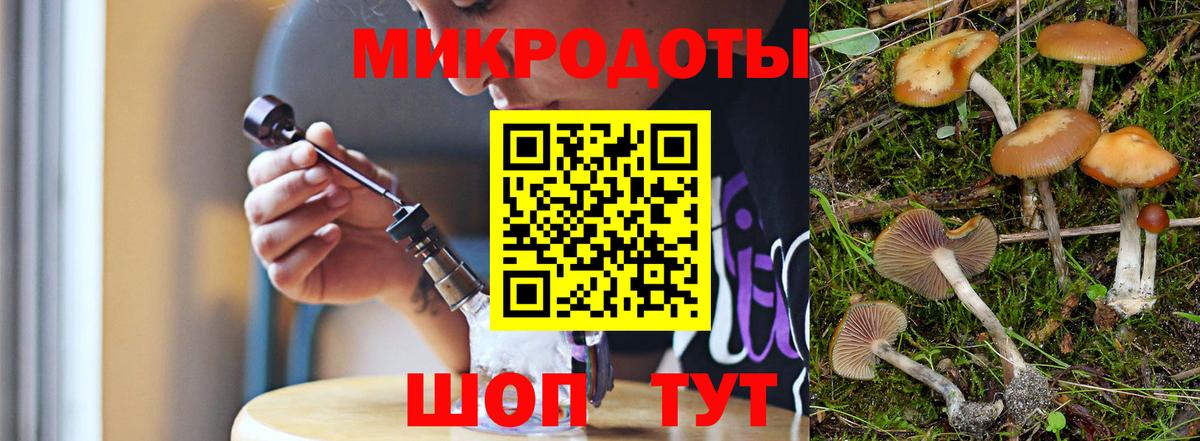 Прохладный  где продают наркотики  Псилоцибиновые грибы Magic Shrooms  Вход с VPN  Галлюциногенные грибы мухоморы 